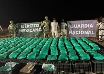 Decomisan metanfetamina, fentanilo y opio escondidos entre cajas de chile en Sonora