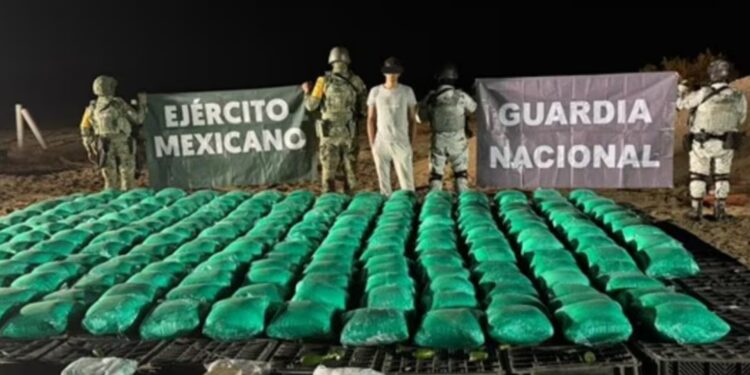 Decomisan metanfetamina, fentanilo y opio escondidos entre cajas de chile en Sonora