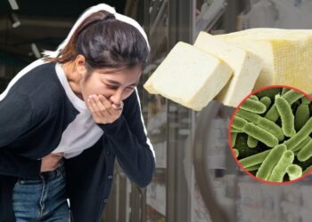 Retiran de forma URGENTE una popular marca de QUESO de todas las tiendas, está contaminado con la bacteria de E. coli