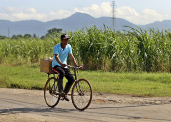 México impone aranceles de entre 156 % y 210 % a las importaciones de azúcar