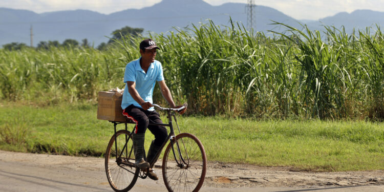 México impone aranceles de entre 156 % y 210 % a las importaciones de azúcar