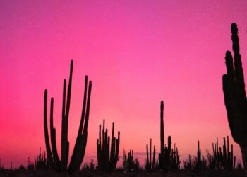 Auroras boreales crean un espectáculo sorprendente que llega a México