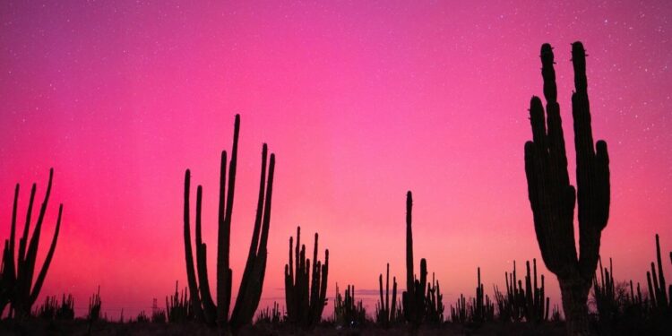 Auroras boreales crean un espectáculo sorprendente que llega a México