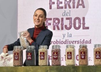 Anuncian frijol del Bienestar