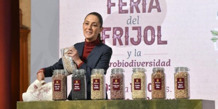 Anuncian frijol del Bienestar