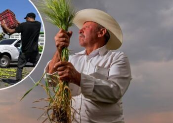 Campesinos amenazan con cierre total para el lunes “Si el gobierno no resuelve”, ¿Por qué prefieren tirar o regalar sus cosechas a aceptar los pagos de intermediarios?