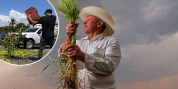 Campesinos amenazan con cierre total para el lunes “Si el gobierno no resuelve”, ¿Por qué prefieren tirar o regalar sus cosechas a aceptar los pagos de intermediarios?