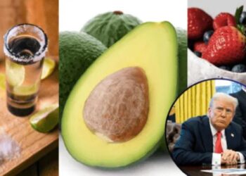 Trump quita aranceles al aguacate y otros productos agropecuarios