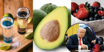 Trump quita aranceles al aguacate y otros productos agropecuarios