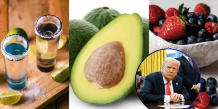 Trump quita aranceles al aguacate y otros productos agropecuarios