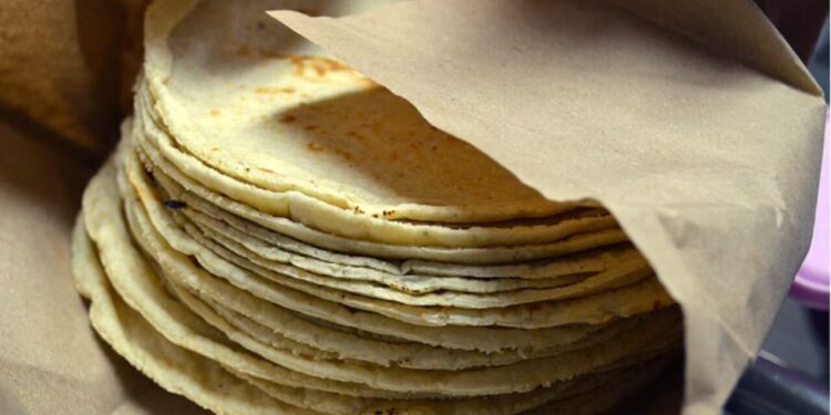 Kilo de tortilla supera los 30 pesos en varios estados, revela ANPEC; se espera que suba más en 2026