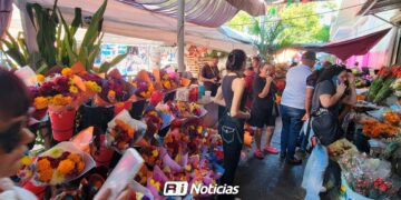 Por Día de Muertos floristas de Culiacán esperan un repunte en ventas; bajan el precio en cempasúchil