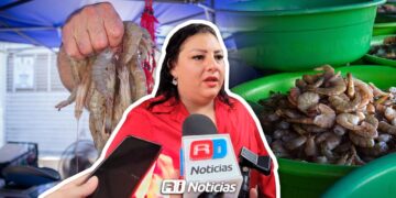 Sinaloa reporta repunte del 25% en captura de camarón: Cindy Montoya