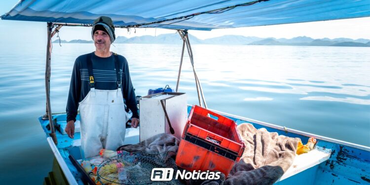 Sinaloa busca fortalecer pesca con mayor presupuesto y programas activos