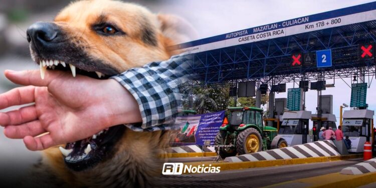 “Gobierno está mordiendo la mano a quienes damos de comer “: Gilberto Fuentes