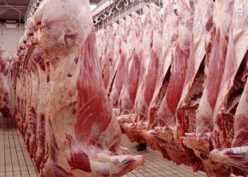 Mazatlán consume productos cárnicos de primera calidad: Rastro TIF