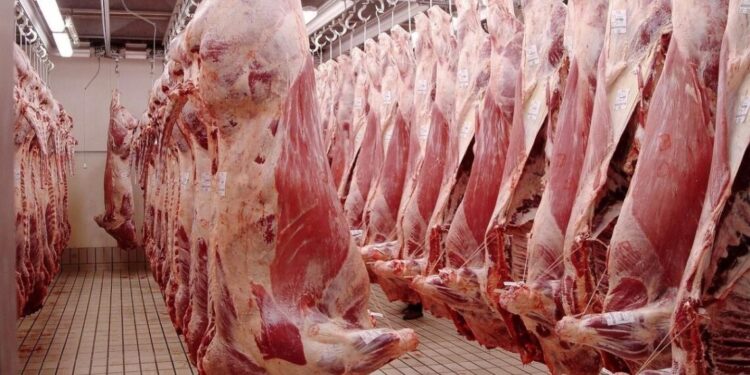 Mazatlán consume productos cárnicos de primera calidad: Rastro TIF