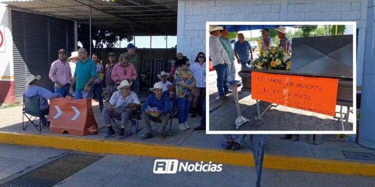 Productores Sinaloenses ponen fin a protestas ante falta de apoyo ciudadano