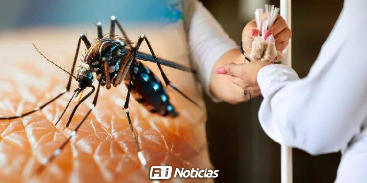 Refuerza Gobierno de Sinaloa acciones contra el dengue: Entrega de vehículos y compromiso gubernamental