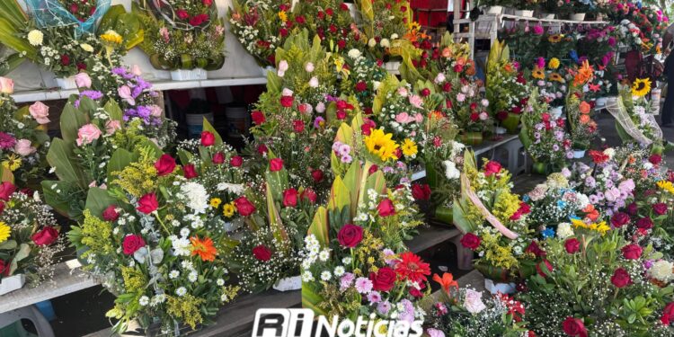 Floristas de Mazatlán reportan buenas ventas por Día de Muertos