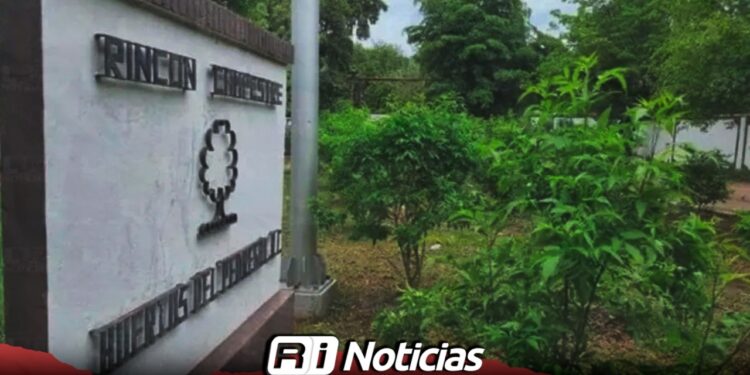 Localizan osamentas en Huertos del Pedregal y otras zonas de Culiacán