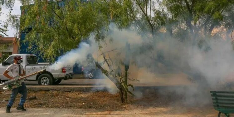 Dengue en México: Se reportan más de mil casos en una semana