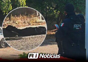 Localizan cuerpo embolsado en el fraccionamiento Nueva Vizcaya, en Culiacán