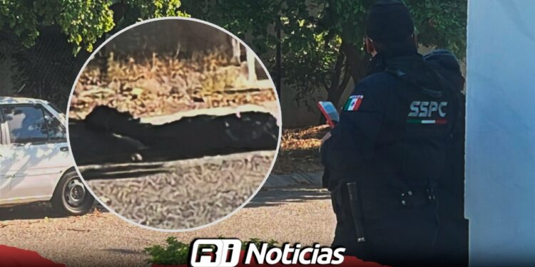 Localizan cuerpo embolsado en el fraccionamiento Nueva Vizcaya, en Culiacán