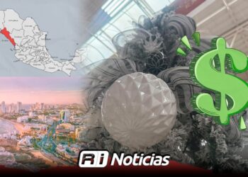 ¿Cuánto cuesta poner un Pino de Navidad?; ¡mazatlecos ya se preparan!