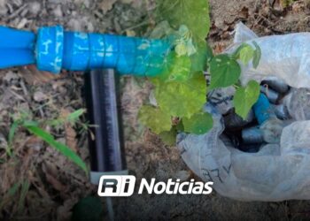 Ejército localiza y destruye 20 explosivos en zona serrana de Badiraguato