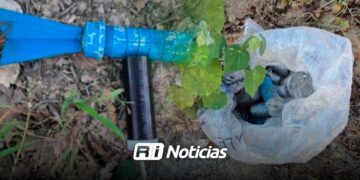 Ejército localiza y destruye 20 explosivos en zona serrana de Badiraguato