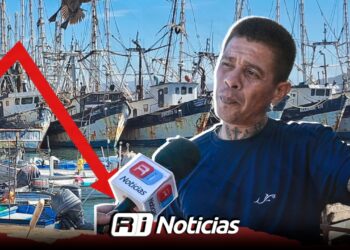 Crisis en el Embarcadero de la Isla de la Piedra en Mazatlán; pescadores reporten ventas bajas