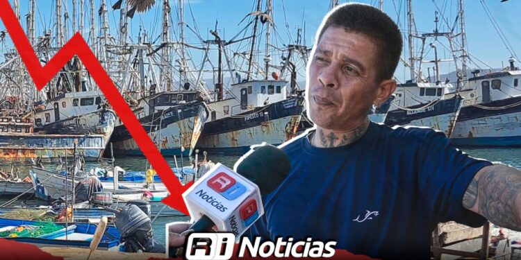Crisis en el Embarcadero de la Isla de la Piedra en Mazatlán; pescadores reporten ventas bajas