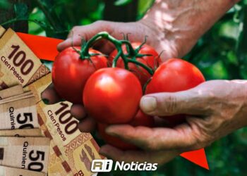 Bloqueos carreteros en Sinaloa generan pérdidas millonarias en hortalizas