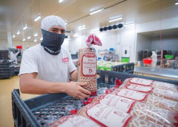 Sinaloa incrementa su población ocupada en el tercer trimestre de 2025: INEGI