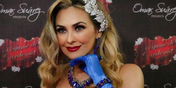 Aracely Arámbula habla sobre la carrera artística de Miguel y Daniel, los hijos que tuvo con Luis Miguel
