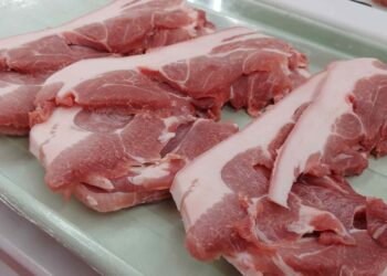 México suspende las importaciones de carne de cerdo de España por la peste porcina