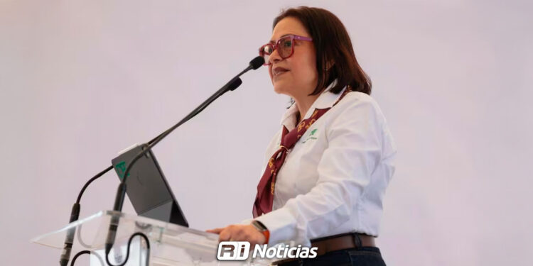 CFE contempla inversión de 140 mil mdp para aumentar capacidad; Energía destaca inversión de 45 mil mdd