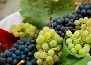 Precio de las uvas se dispara, ¿Qué otra cosa comer en Año Nuevo?