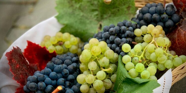 Precio de las uvas se dispara, ¿Qué otra cosa comer en Año Nuevo?
