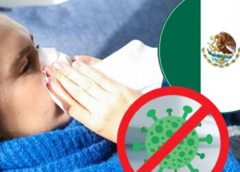 Influenza A H3N2 subclado K llegó a México, Secretaría de Salud confirma el primer caso en el País, ¿Dónde pasó y qué se sabe del contagio?