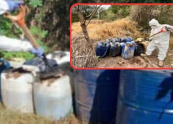 Aseguran más de 7,000 litros de químicos peligrosos en Culiacán, Cosalá y Mocorito: Fuerzas federales destruyen 6 áreas clandestinas