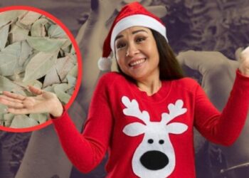 Ritual de Navidad con laureles: ¿Qué hacer para que se cumplan tus deseos en 2026?