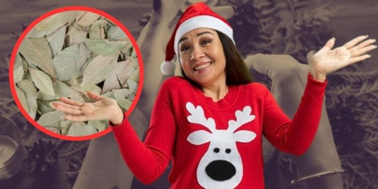Ritual de Navidad con laureles: ¿Qué hacer para que se cumplan tus deseos en 2026?