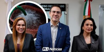 PRI rechaza nueva Ley de Aguas por afectar al campo