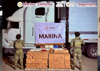 Aseguran más de 15 millones de dosis de droga en Recinto Portuario de Mazatlán