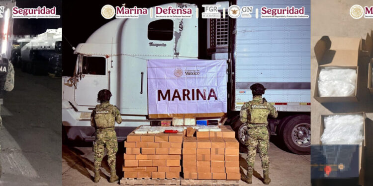 Aseguran más de 15 millones de dosis de droga en Recinto Portuario de Mazatlán