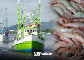 Por bajas capturas, cerca del 40% de barcos camaroneros de Mazatlán NO saldrán a una segunda ronda