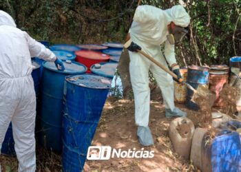 Aseguramiento en Sinaloa genera pérdida de 271 mdp al narcotráfico en “Operación Nacional”