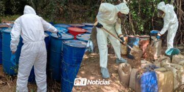 Aseguramiento en Sinaloa genera pérdida de 271 mdp al narcotráfico en “Operación Nacional”